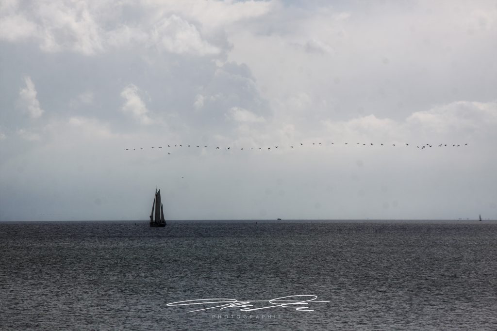 merge Ein Tag am Meer