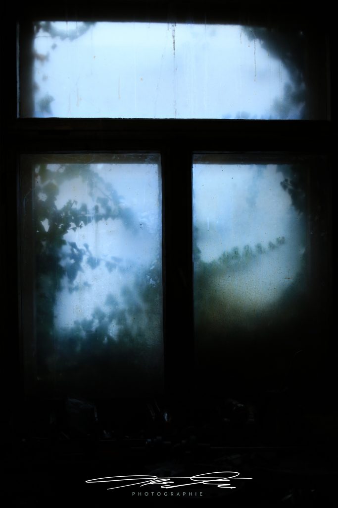 merge Fenster nach Draußen I