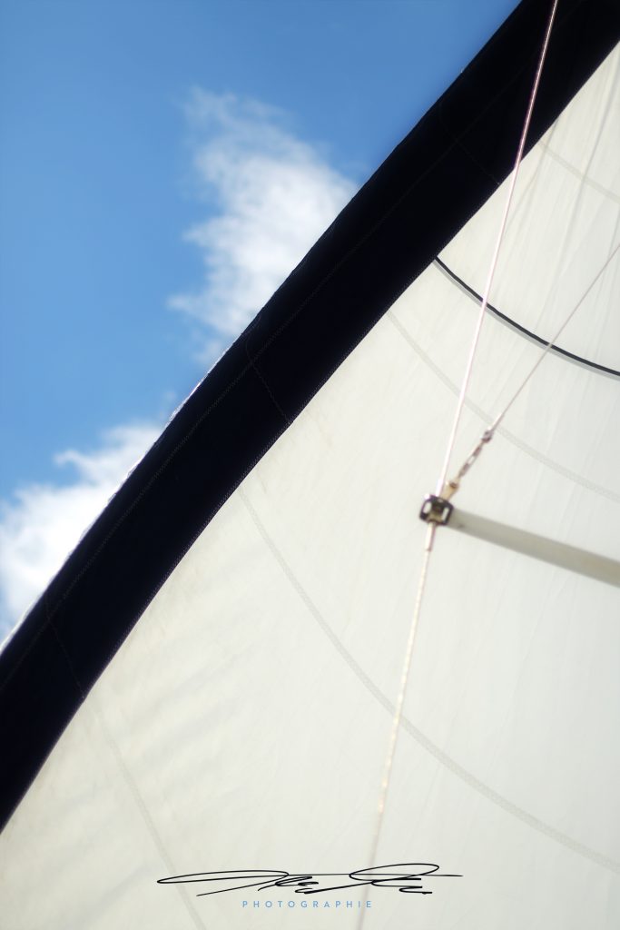 merge Im Wind
