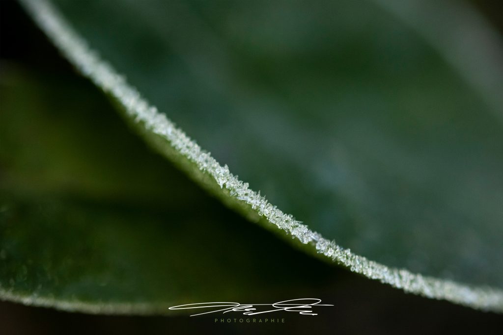 merge Eiskalt angezuckerte Diagonale