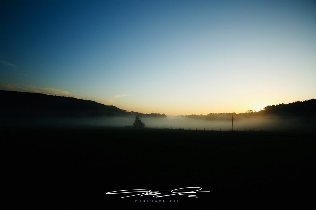 merge Herbstmorgen I