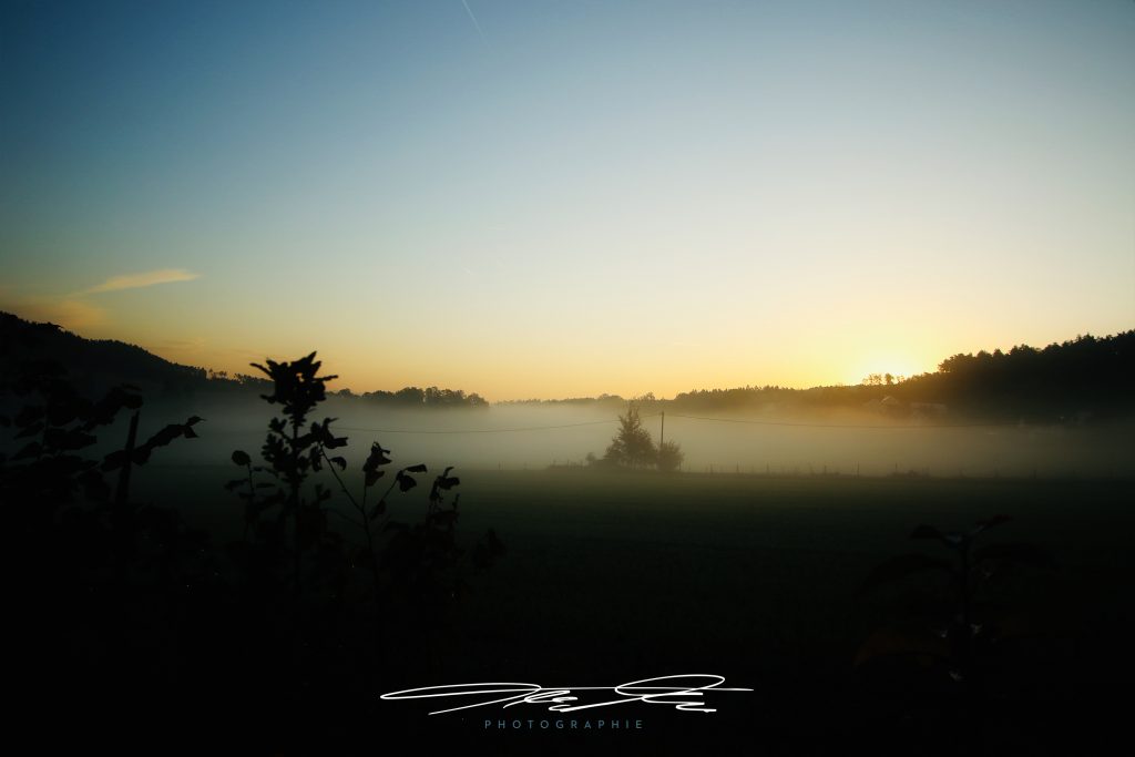 merge Herbstmorgen II