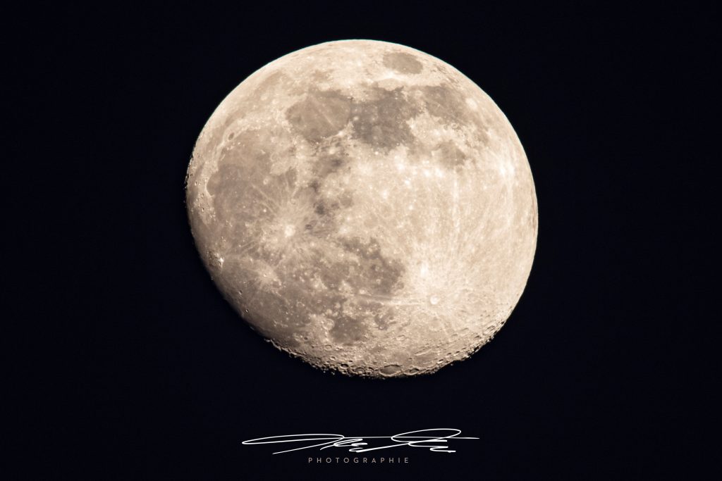 merge FastVollMond