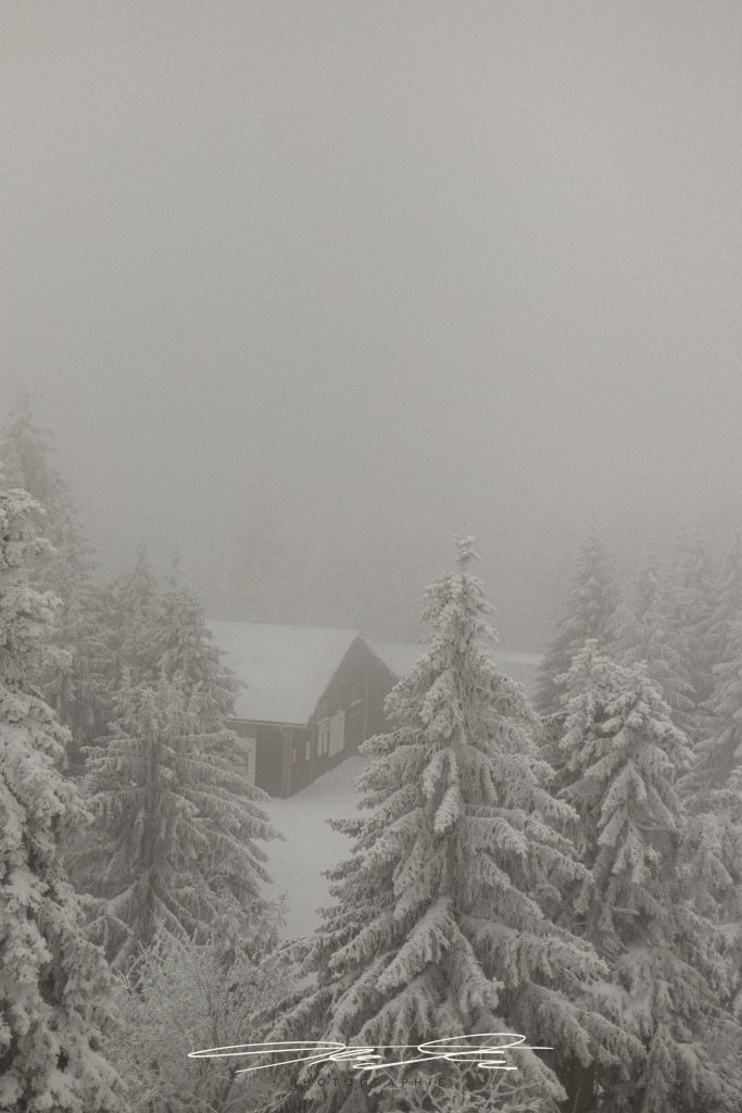 merge Snowy Home