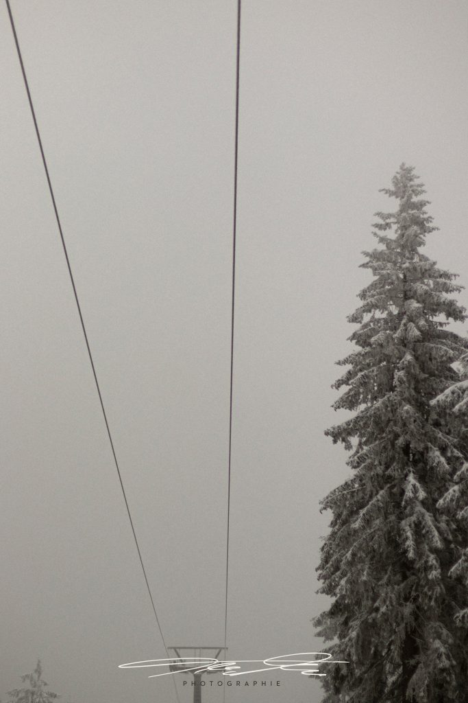 merge Into the Grey