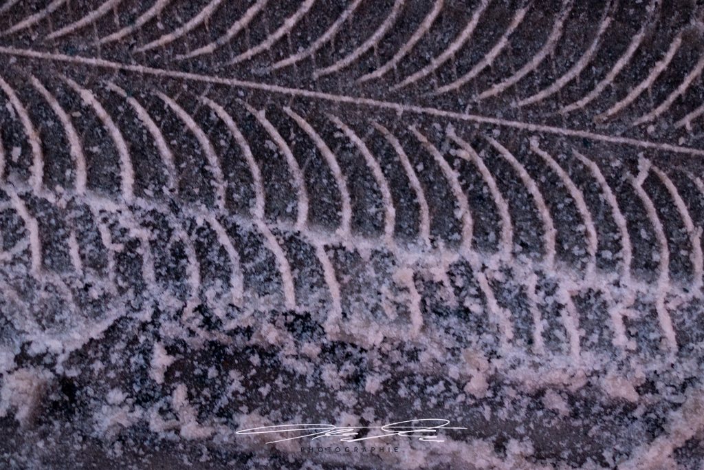 merge Spuren im Schnee II