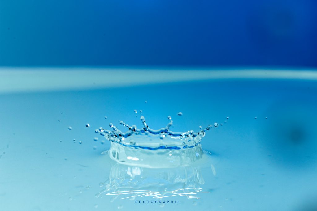 merge Blue Crown