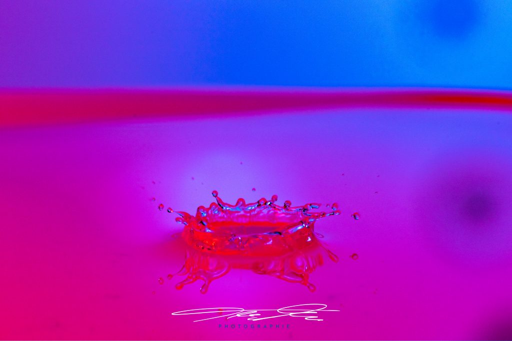 merge Pink Crown