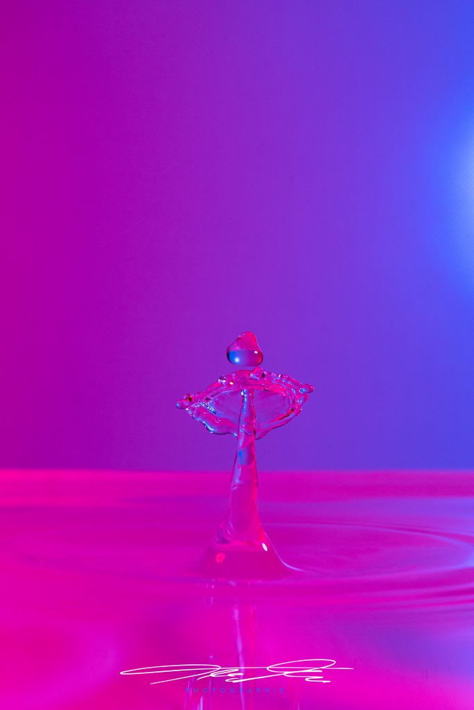 merge Pink Angel